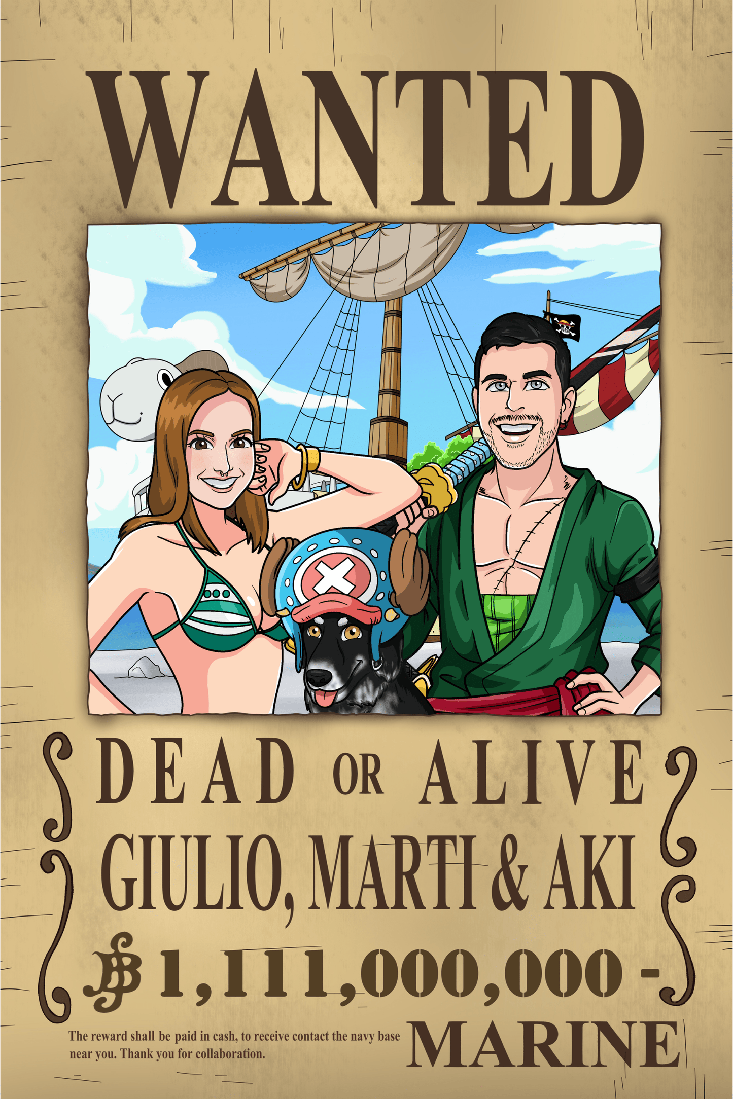 Aangepast Portret One Piece