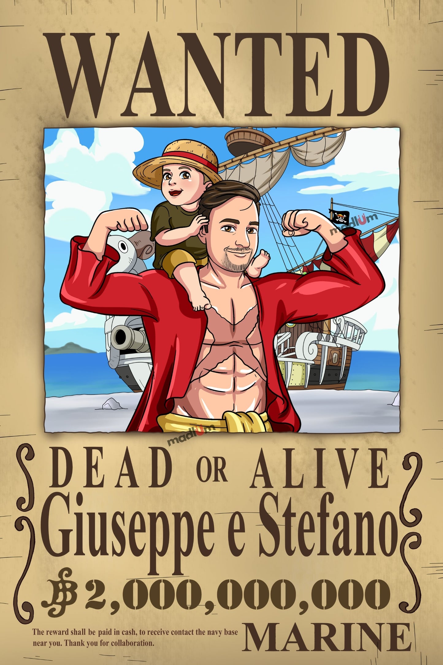 Aangepast Portret One Piece