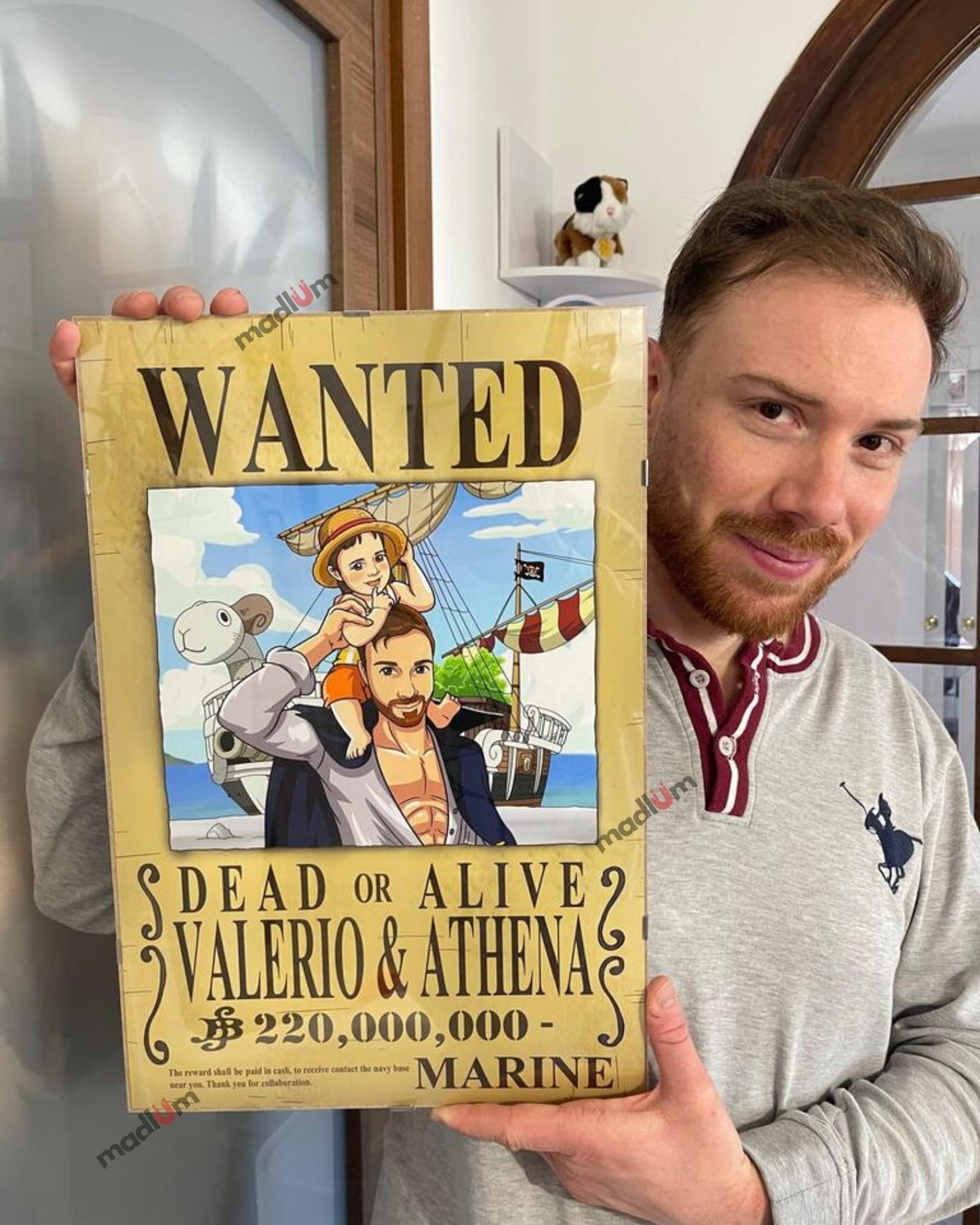 Aangepast Portret One Piece